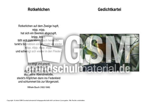 Rotkehlchen-Busch.pdf